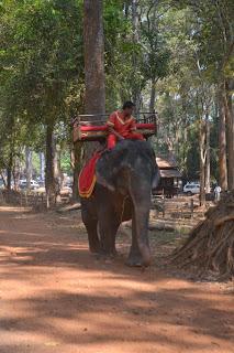 Día 9: La Maravilla de Angkor. Parte 1