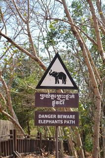 Día 9: La Maravilla de Angkor. Parte 1