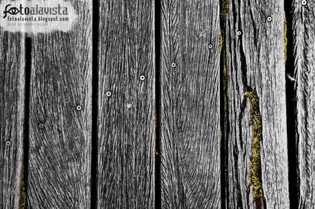 Tornillos y musgo en la madera