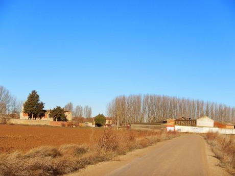 Camino de Santiago. De Castrojeriz a Población de Campos. 29 km