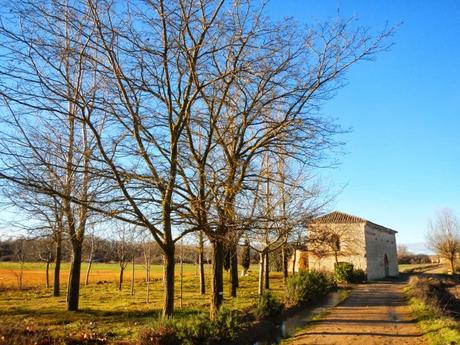 Camino de Santiago. De Castrojeriz a Población de Campos. 29 km