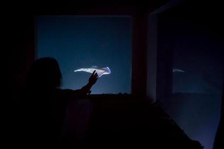 Una habitación bajo el mar