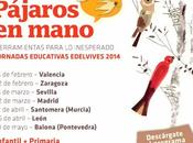 Pájaros mano: Jornadas Educativas Edelvives