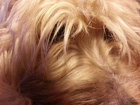 Androidografia Barakaldo CCCXCII. Luna X Androidografia Barakaldo 1605