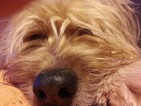 Androidografia Barakaldo CCCXCII. Luna X Androidografia Barakaldo 1604