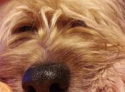 Androidografia Barakaldo CCCXCII. Luna