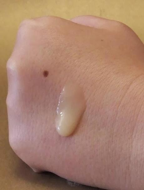 ORGANIC OCEAN – productos naturales y orgánicos de algas marinas