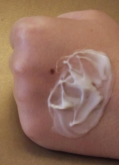 ORGANIC OCEAN – productos naturales y orgánicos de algas marinas