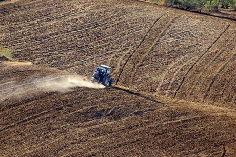Agricultura Ecológica: la respuesta para la degradación del suelo