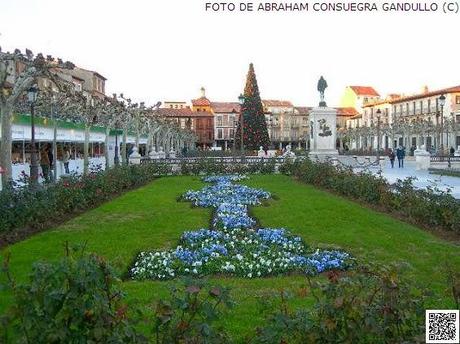 NAVIDEÑAlcalá: Navidad en la Plaza de Cervantes de la Ciudad de Alcalá de Henares... Feliz Nochebuena y Feliz Navidad a tod@s!!!!