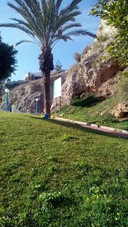 Blogger Traveller Enero: ARTE URBANO