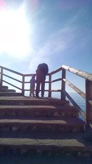 Blogger Traveller Enero: ARTE URBANO