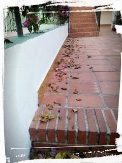 Sábado de Sensaciones (7)