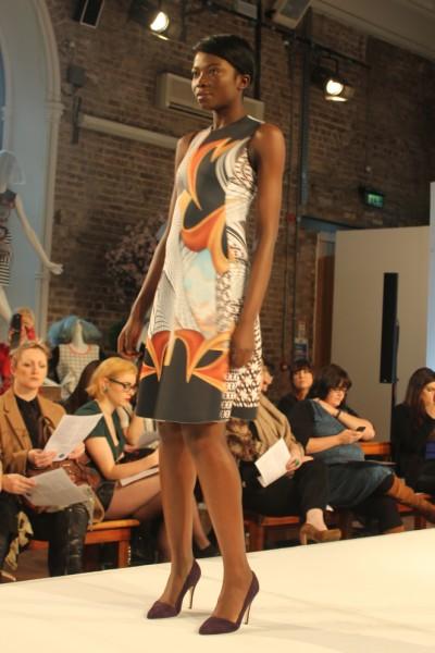 Arnotts SS 2014 fashion show