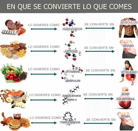 Escoge lo que comes porque serás lo que escojas