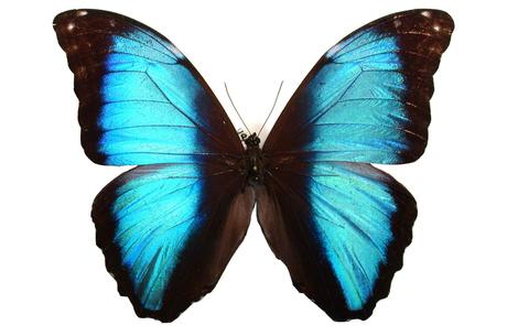 Notas sobre Todo sucedio mañana de Pedro Rivera.