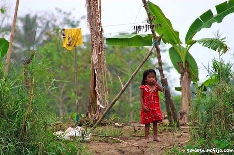 niña moquito