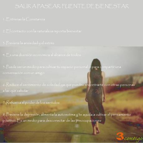 ¡Sal a pasear! pasear fuente de bienestar