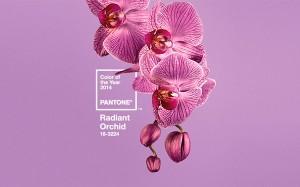 Web de Pantone