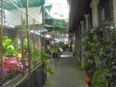 Mercado de Bolhao, Edificio Emblematico de Oporto