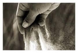 Los dos al viento, los dos al alba..