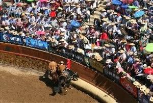 PRESIDENTE DE LA ASOCIACIÓN DE RODEO DE MAGALLANES ASISTIÓ A CONSULTIVO EXTRAORDINARIO DE LA FEDERACIÓN NACIONAL