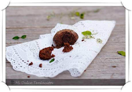 Madeleines de Chocolate y Arándanos