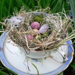 Postboda y Trash the dress, ¿es lo mismo? Postboda y Trash the dress, ¿es lo mismo?