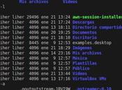 Como contenido directorio Terminal Ubuntu