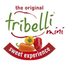 PIMIENTOS EN VINAGRE EN CONSERVA