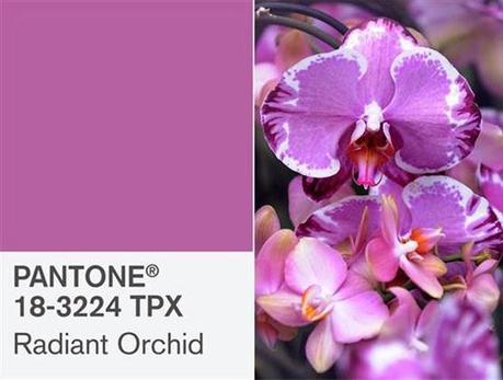 Color Pantone del año 2014: Orquídea Radiante