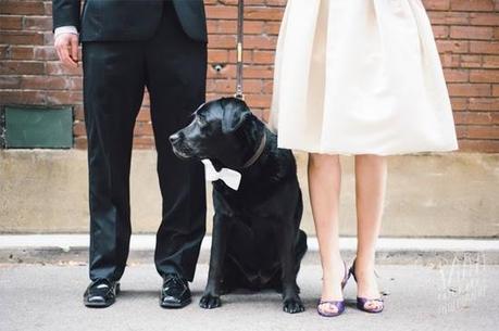 Bodas muy tiernas con vuestra mascota al lado