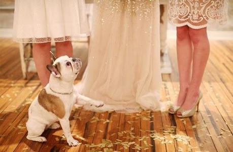 Bodas muy tiernas con vuestra mascota al lado