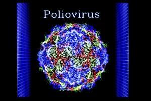 Polio virus poliomielitis vacunas 