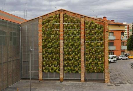 Jardín vertical de bajo mantenimiento en Rubí. Barcelona.