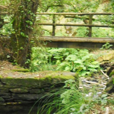 las etapas de la vida las etapas de la vida