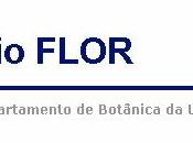 Herbario FLOR, Santa Catarina, Brasil