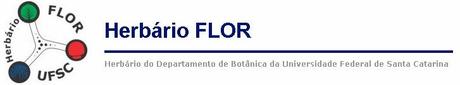 Herbario FLOR, Santa Catarina, Brasil