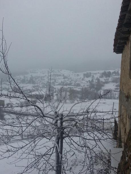 Y San Antón nos volvió a traer la nieve esperada....