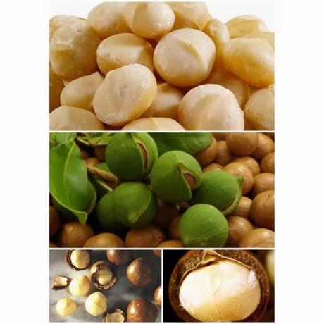 TRATAMIENTO MACADAMIA NATURAL OIL-  GREGORIO PORRAS