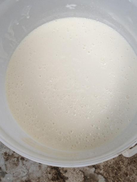 DETERGENTE PARA LA LAVADORA EN GEL