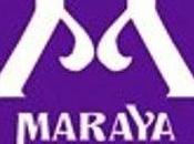 MARAYA BOX: nueva forma moda!!!