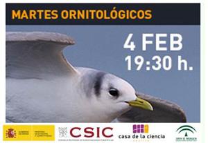martes ornitológicos en casa sevilla