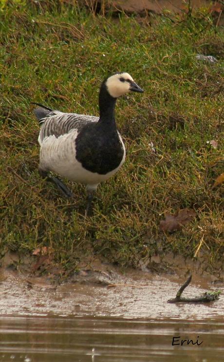 ÉXITOS Y FRACASOS DE LA ÚLTIMA SEMANA