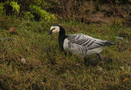 ÉXITOS Y FRACASOS DE LA ÚLTIMA SEMANA