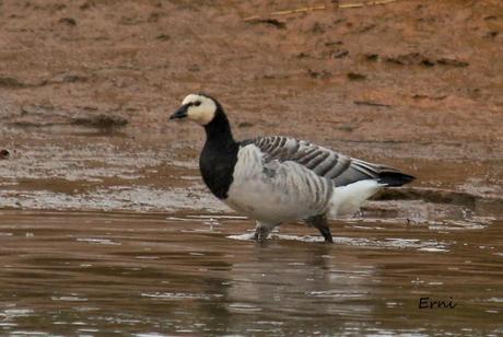 ÉXITOS Y FRACASOS DE LA ÚLTIMA SEMANA