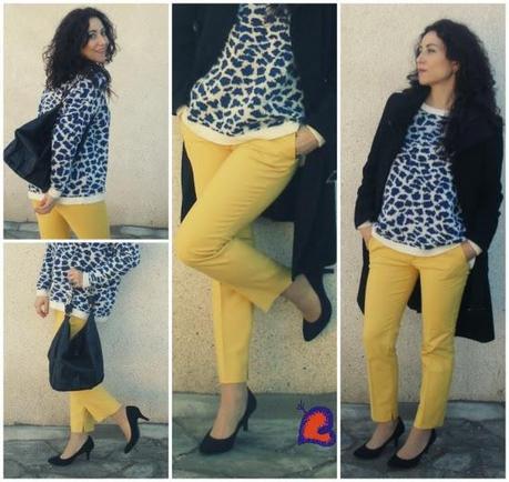 AmarilloLeón-LionYellow-JauneLion