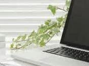 razones para tener lanta oficina