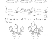 Colecciones menos “1er grado”