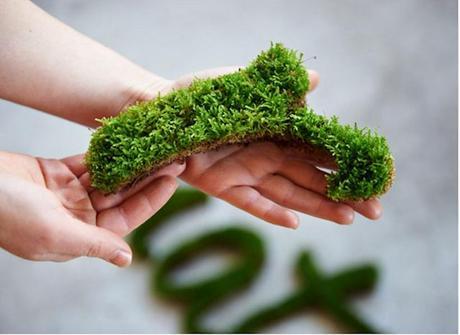 Street art ecológico